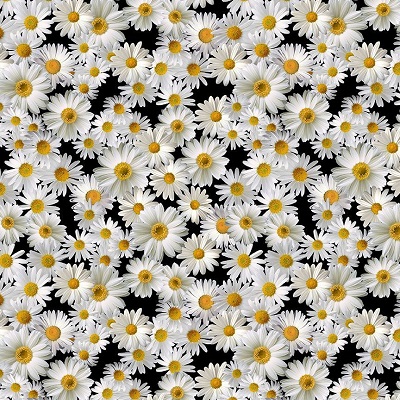 Fabric swatch