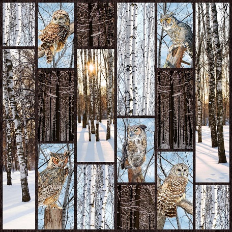 Northcott - Nature Solitude - Owl Block/Panel 43" x 43"