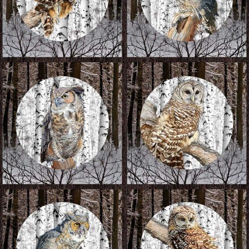 Northcott - Nature Solitude - Owl Block/Panel - 24" x 43"